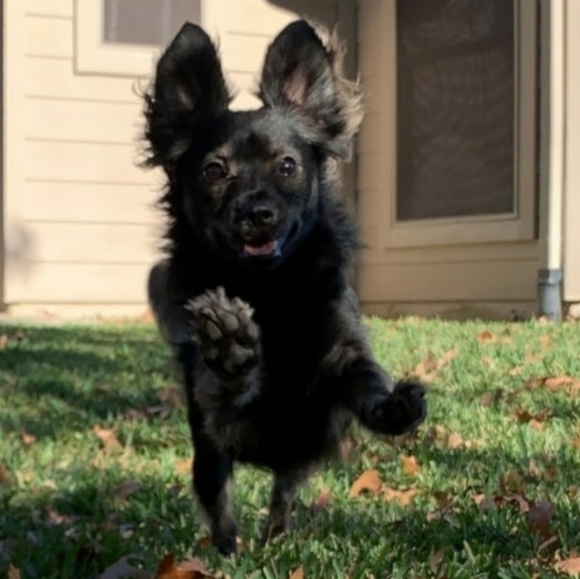 Thanks for Stopping By - Picture 7 of 8